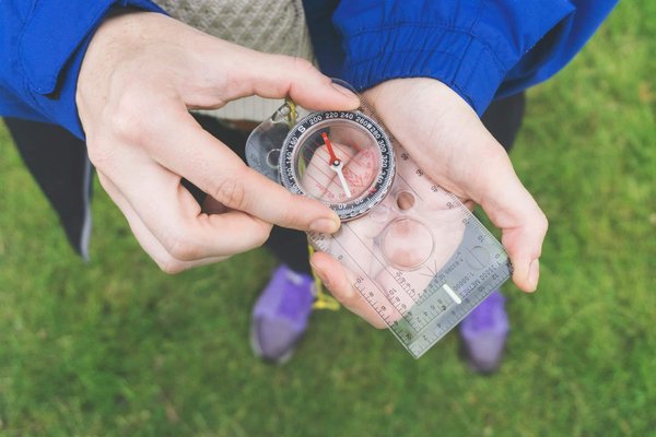 Comment explorer les parcs nationaux d'Uganda pour observer les gorilles ?